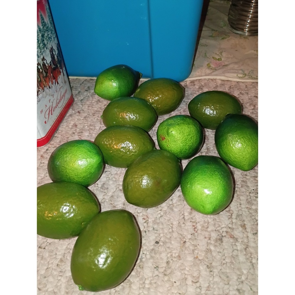 Lot of‎ 12 Realistic Green Artificial Limes Faux Fruit Decor Kitchen Display